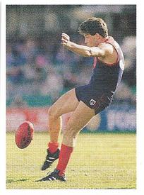 1991 Select AFL Stickers #168 Greg Healy Front